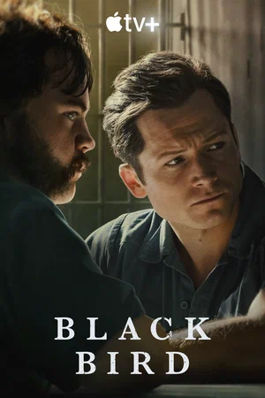сериал Чёрная птица (сериал, 2022) 1 сезон смотреть онлайн на Лордфильм